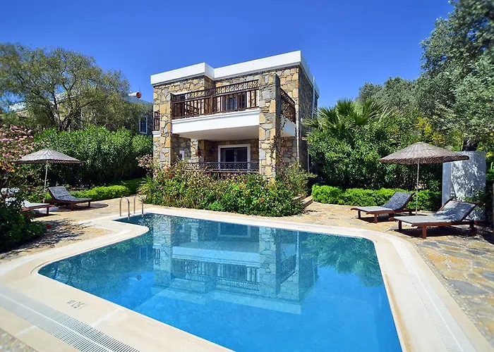 ヴィラ Salmakis *